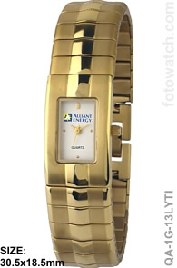 Ladies IP Gold Plated Titanium Corporate Watch qa-1G-13LYTI